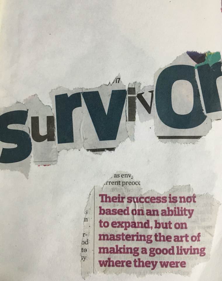 22852242_10155038959804646_3012882172449852685_n